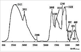 红芪FT-IR平均光谱的特征吸收峰及其解析