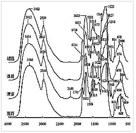 甘肃4071个主产县红芪FT-IR指纹图谱